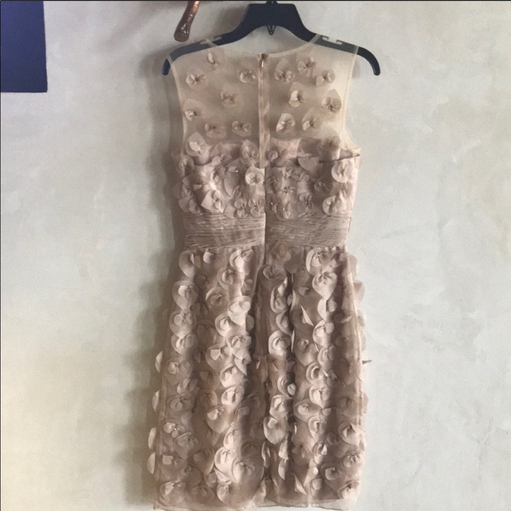 Js Collection - image 2